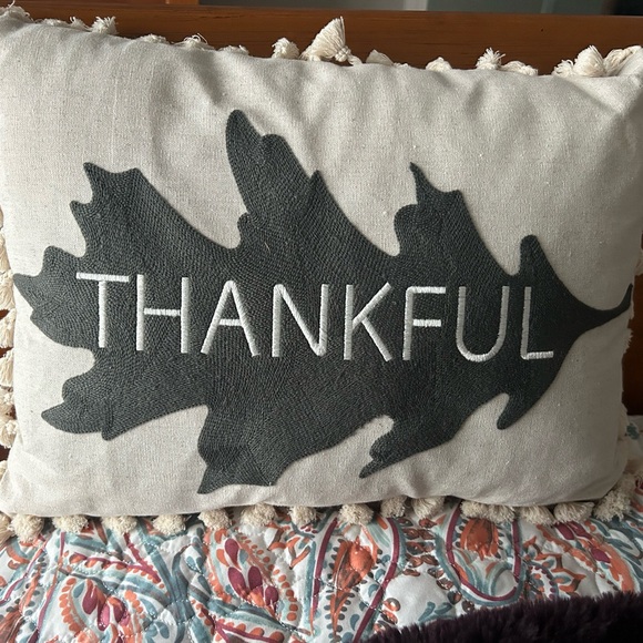 Other - New Thankful pillow - NWOT
